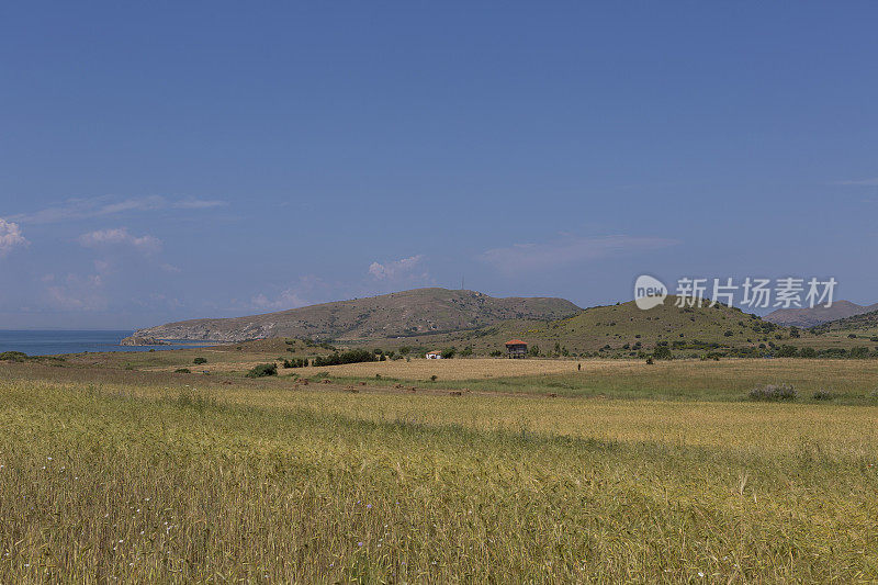 土耳其坎纳卡莱的gokceada imroz岛的乡村景色